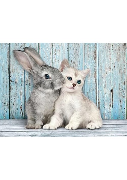 - 500 Parça Hq Yetişkin Puzzle - Cat & fiyatları