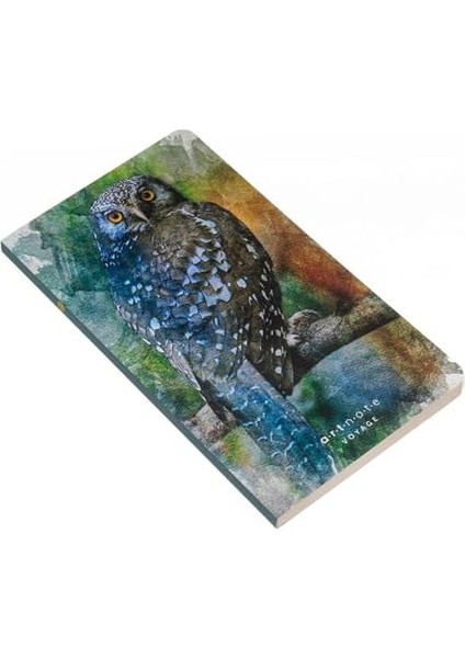 Art Voyage, Çizgisiz Seyahat Not Defteri, Karton Kapak, 12X21 cm Dikey, 128 Sayfa