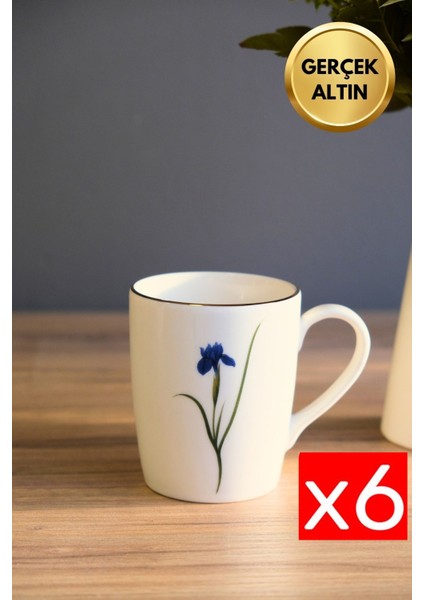 Porselen Natura Iris Kulplu Mug Kupa 9cm 220ML 6 Lı