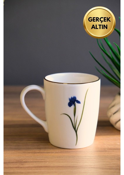 Porselen Natura Iris Kulplu Mug Kupa 9cm 220ML 6 Lı fiyatları