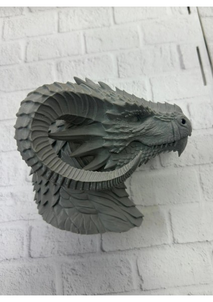 Bfs 3D Ejderha Başı Heykeli Koleksiyonluk Dekoratif Figür 22X17 cm
