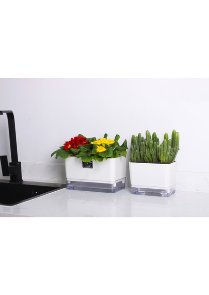 Otomatik Sulamalı Dikdörtgen Akıllı Saksı