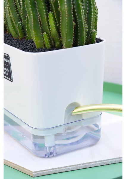 Otomatik Sulamalı Dikdörtgen Akıllı Saksı fiyatları