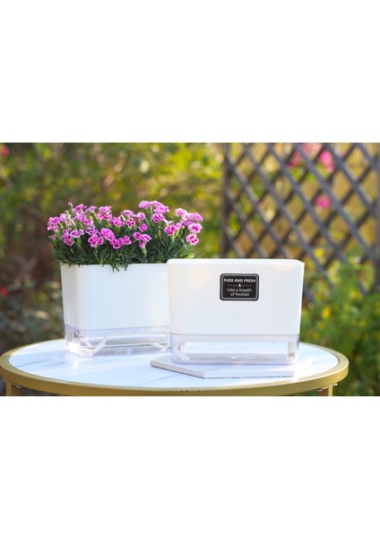 Otomatik Sulamalı Dikdörtgen Akıllı Saksı