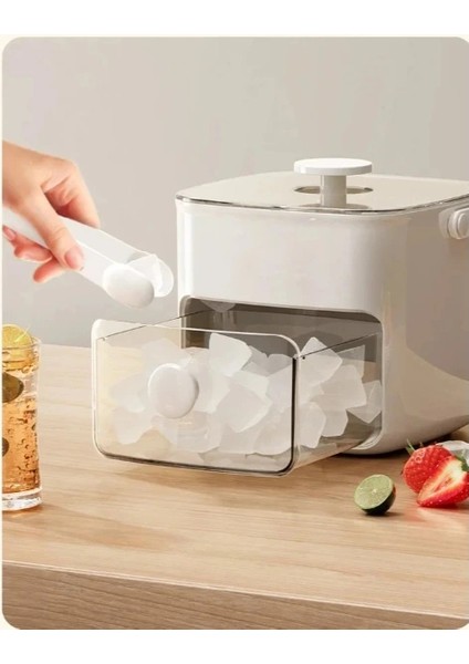 Buz Kalıp ve Saklama Kutusu modelleri