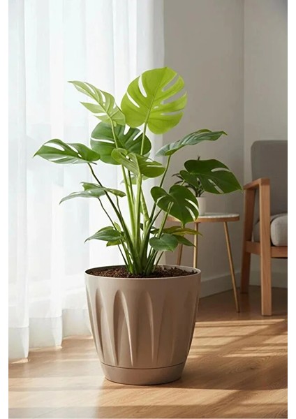 Papatya Saksı 12 Lt Parlak Plastik Kendinden Tabaklı Drenajlı Çiçek Saksısı