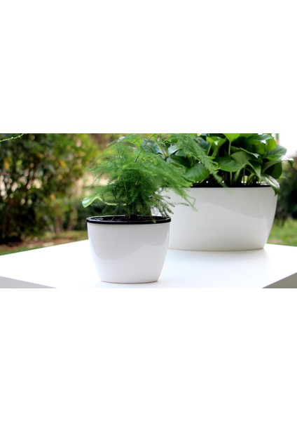 Kendinden Sulamalı Parlak Oval Akıllı Saksı (Büyük Boy) modelleri