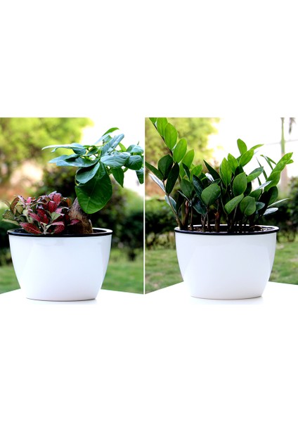 Kendinden Sulamalı Parlak Oval Akıllı Saksı (Büyük Boy) fırsatları