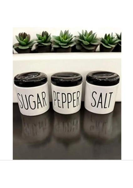 3 Lü Beyaz Porselen Baharatlık Baharat Takımı Seti fiyatları