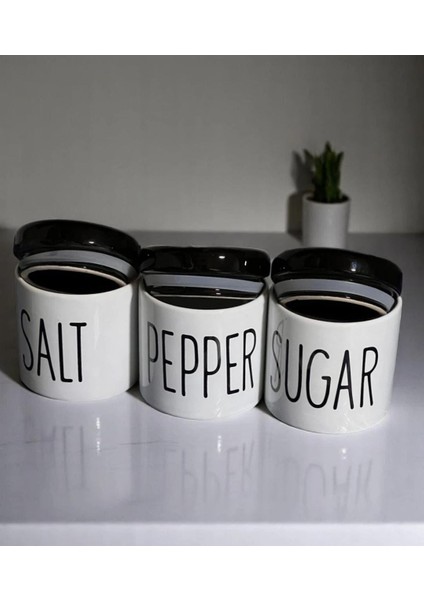 3 Lü Beyaz Porselen Baharatlık Baharat Takımı Seti modelleri