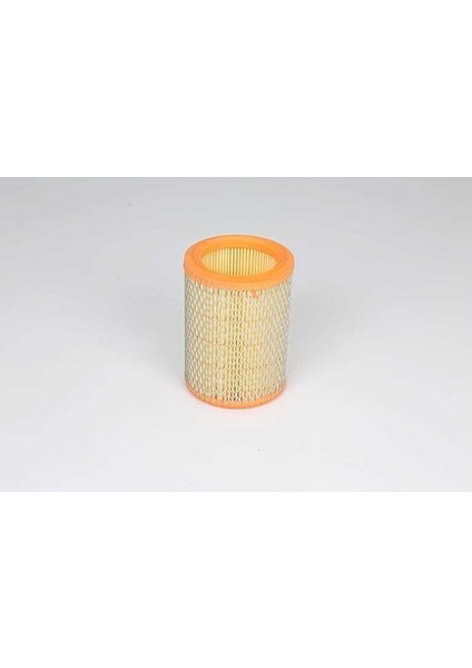 Hava Fıltresı Renault R12 (Saçlı)