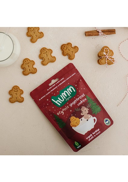 Organik Vegan Zencefilli ve Tarçınlı Kurabiye 55 gr (3 Adet)