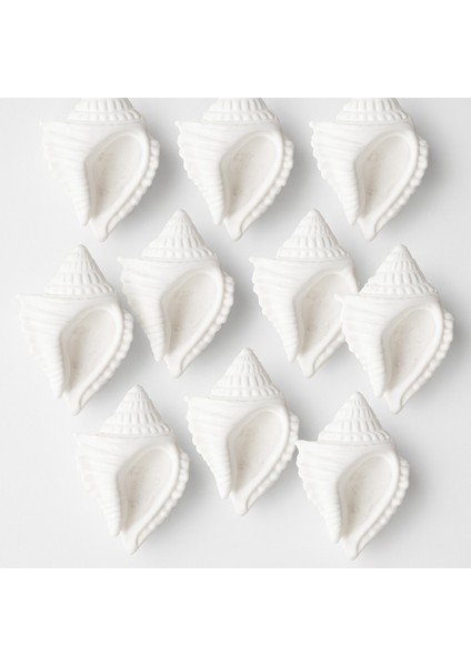 Dekoratif Deniz Kabuğu Figürü - 10’lu Alçı Boyama Seti