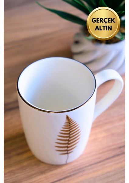 Porselen Natura Fern Kulplu Mug Kupa 9cm 220ML 4 Lü modelleri