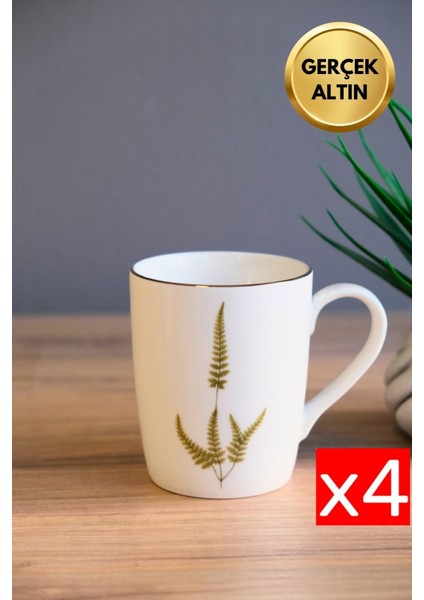 Porselen Natura Marinum Kulplu Mug Kupa 9cm 220ML 4 Lü