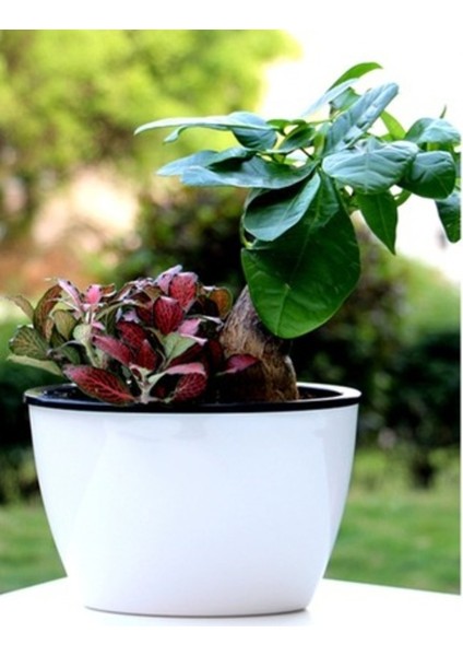 Kendinden Sulamalı Parlak Oval Akıllı Saksı (Küçük Boy) modelleri