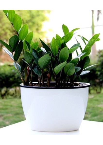 Kendinden Sulamalı Parlak Oval Akıllı Saksı (Küçük Boy)