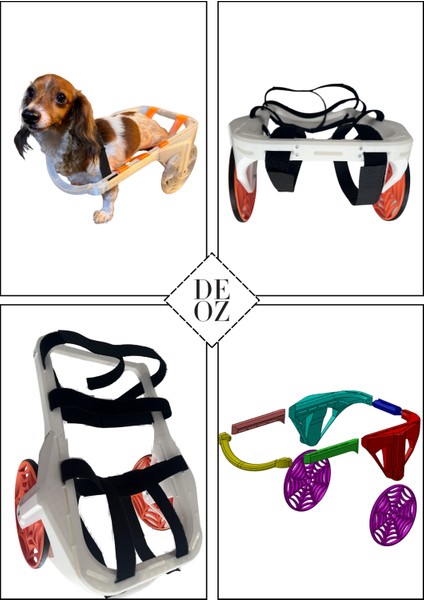 Sevimli Dost Arka Bacak Destekli Pet Yürüteci – Ayarlanabilir Kedi / Köpek Yürütme Aparatı