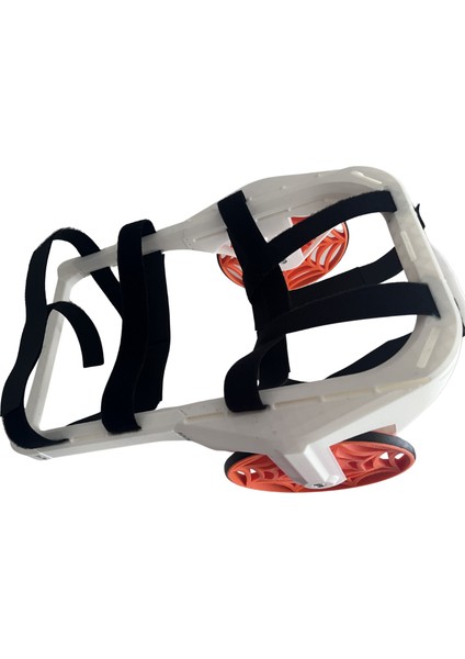 Sevimli Dost Arka Bacak Destekli Pet Yürüteci – Ayarlanabilir Kedi / Köpek Yürütme Aparatı modelleri