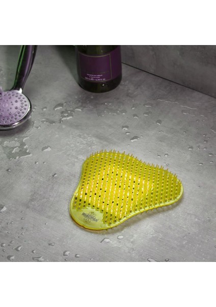 Pro Pisuvar Koku Giderici (Limon) 3'lü Paket fiyatları