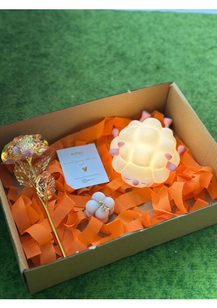 Hediye Kutusu/hediye Sepeti