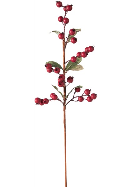 ALIÇ BİTKİSİ KIRMIZI 83CM