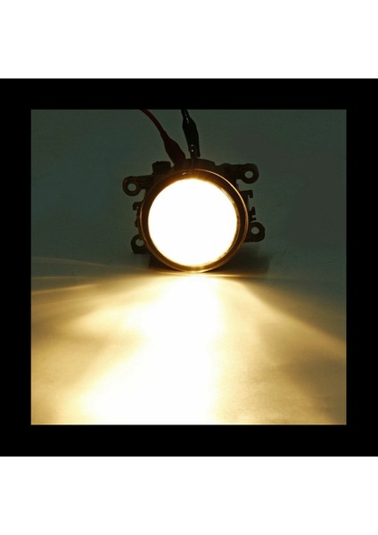 3 Çift Ön Tampon Sis Lambaları Ford Focus Suzuki Için H11 ile Yeni Alto Renault Peugeot Citroen Anti-Bez Lens (Yurt Dışından) indirimleri