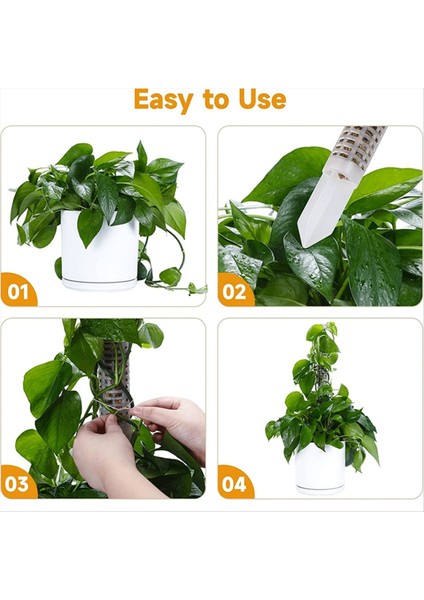 Bitkiler Için Istiflenebilir Şeffaf Plastik Yosun Direği Monstera Kapalı Bitki Aksesuarları Destek Bahisleri Bitki Bahisleri (Yurt Dışından) fiyatları