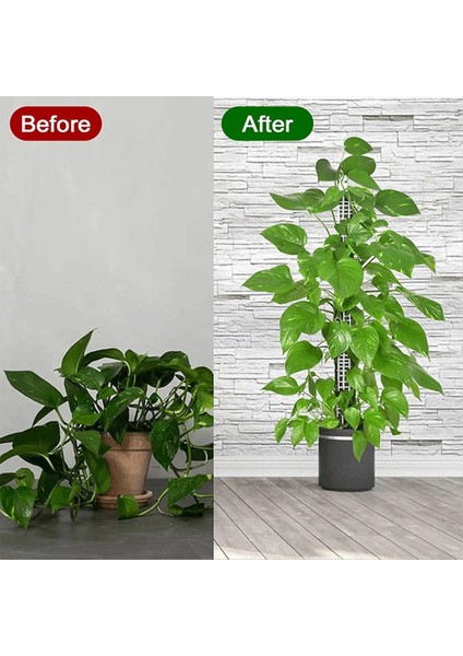 Plastik Yosun Direği 25 Inç Kadar Uzatılmış Sphagnum Yosun Bitki Direğine Bitkiler Için Yosun Direği Yosun Direkleri Bir (Yurt Dışından) indirimleri