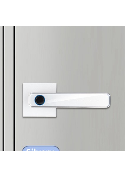 Biyometrik Parmak Izi Akıllı Ev Kapı Kilidi Şifre Dijital Kilit Kontrolü Gümüş (C) (Yurt Dışından) fiyatları