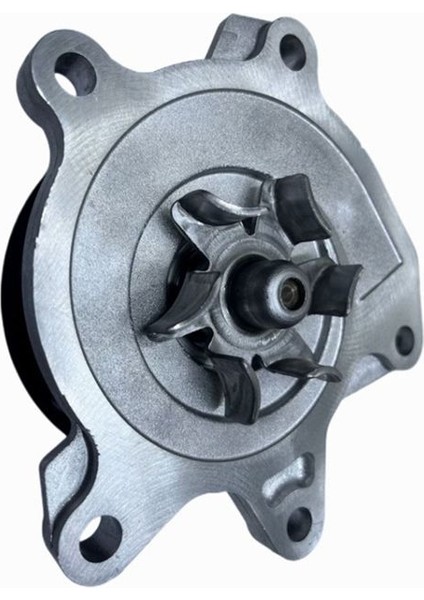 Araç Motoru Su Pompası Mekanik Su Pompası 21010BV80B Aeolus Nıssan Renault Venucıa Qashqaı Teana X-Traıl (Yurt Dışından) modelleri