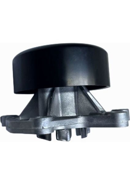 Araç Motoru Su Pompası Mekanik Su Pompası 21010BV80B Aeolus Nıssan Renault Venucıa Qashqaı Teana X-Traıl (Yurt Dışından) fırsatları