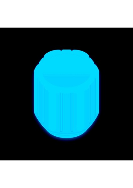 10PCS Glow Valf Kapağı Floresan Mavi Karşılık (Yurt Dışından) fiyatları