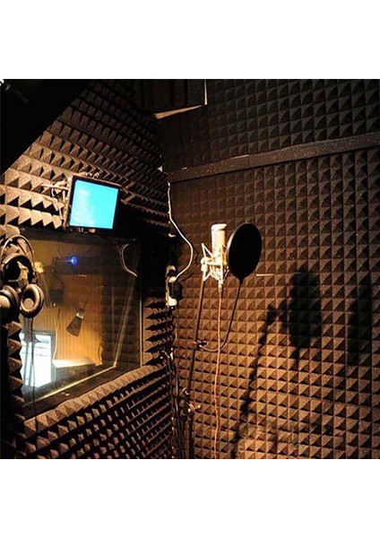 Akustik Köpük Paneller 12 Pc Ses Geçirmez Duvar Panelleri 30X30X5CM Duvarlar Için Yoğunluklu Ses Emici Panel Siyah (Yurt Dışından)