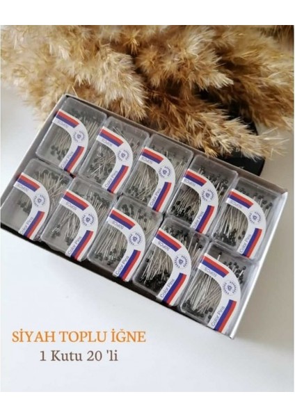 Toplu Iğne 20 Li 1 Kutu MS563