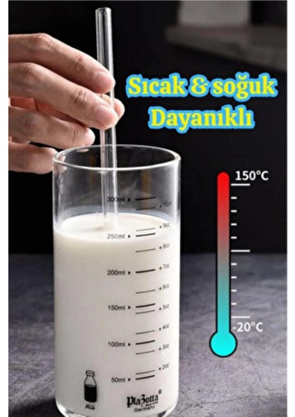 12'li Şeffaf Cam Pipet ve Temizleme Fırçası Seti 20 cm Uzunlukta Dayanıklı Kullanım İçin