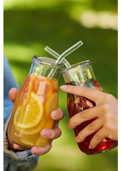 12'li Şeffaf Cam Pipet ve Temizleme Fırçası Seti 20 cm Uzunlukta Dayanıklı Kullanım İçin