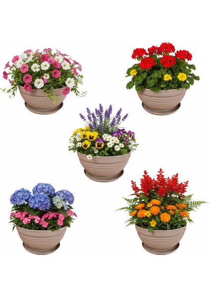 Ortanca Tabaklı Çiçek Saksısı Açık Kahve Çiçek Saksısı