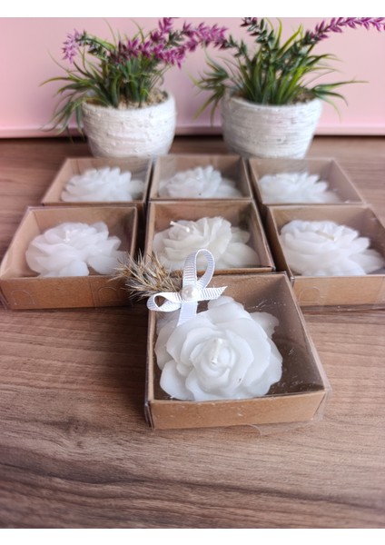 30 adet Gül Mum fırsatları