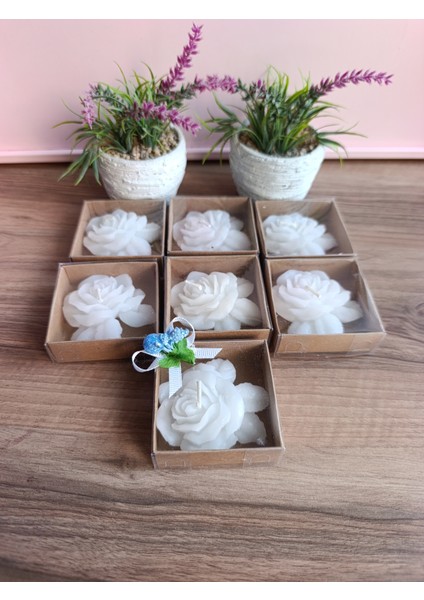 30 adet Gül Mum indirimleri