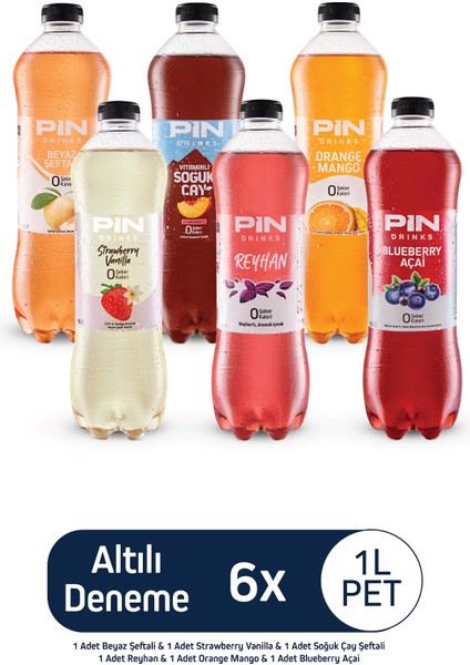 Soğuk Çay Deneme Paketi 6 Adet 1 Litre Ice Tea