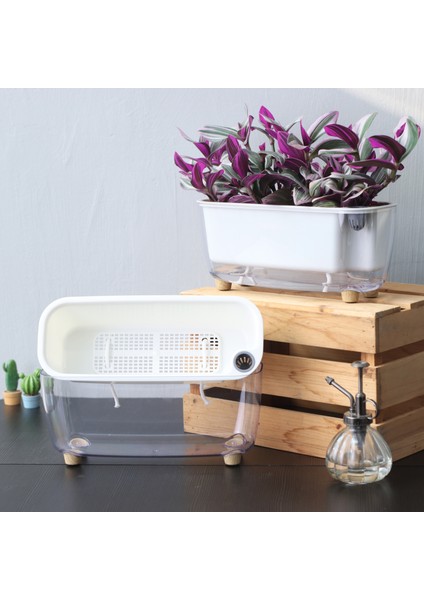 Kendini Sulayan Modern Akıllı Saksı (Küçük Boy)