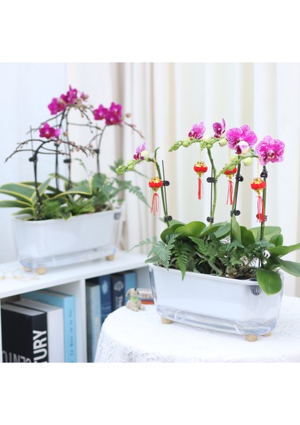 Kendini Sulayan Modern Akıllı Saksı (Küçük Boy) modelleri