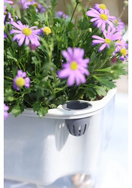 Kendini Sulayan Modern Akıllı Saksı (Küçük Boy) fırsatları