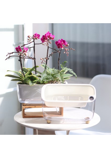 Kendini Sulayan Modern Akıllı Saksı (Küçük Boy)