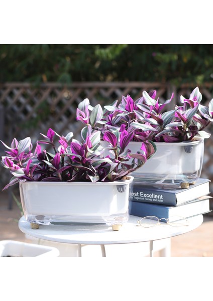 Kendini Sulayan Modern Akıllı Saksı (Küçük Boy)