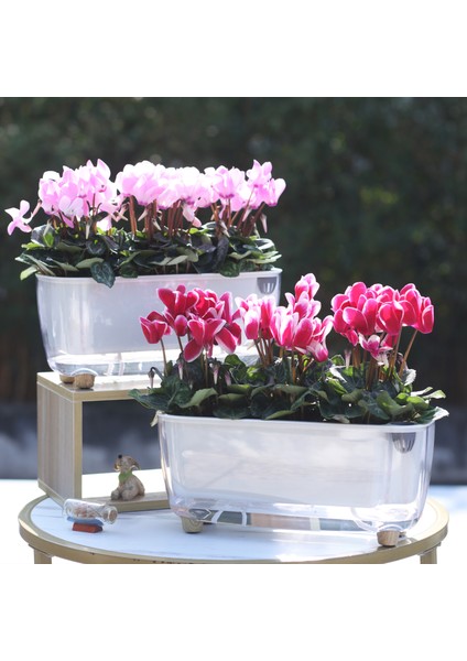 Kendini Sulayan Modern Akıllı Saksı (Küçük Boy)