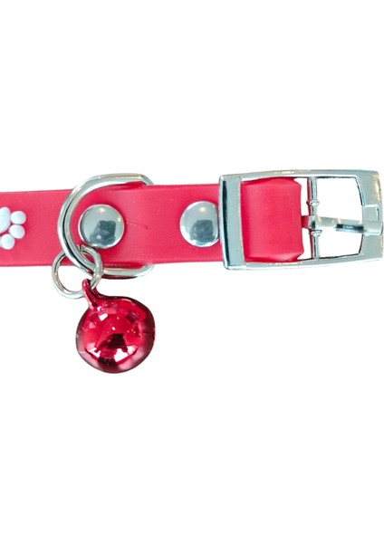 Silikon Keditasması Pzt 707 fırsatları