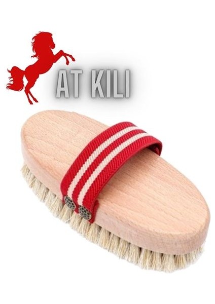 Turk Absolute At Kılı Kuru Islak Fırçası