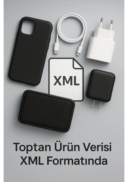 Online Çıktı Hizmeti/xml (1 Yıllık )
